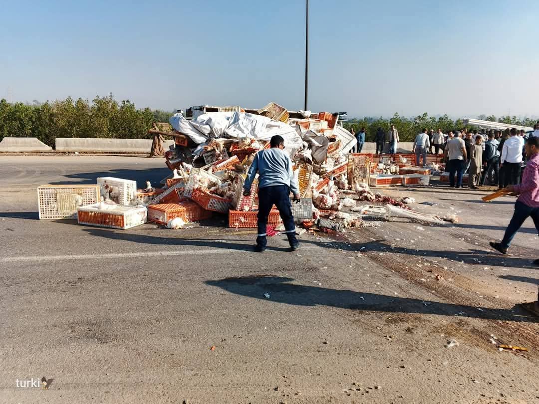 انقلاب سيارة نقل محملة بالفراخ على الطريق الإقليمي 