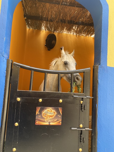 سائحة سويسرية تروج للسياحة في الاقصر