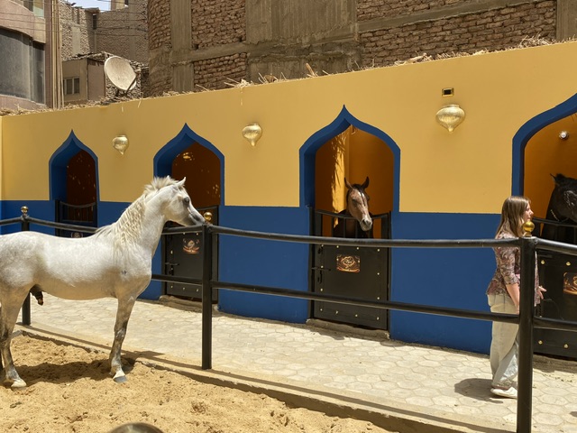 سائحة سويسرية تروج للسياحة في الاقصر