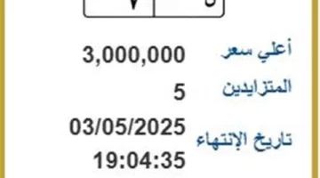 5 أشخاص يتزايدون على لوحة مرور مميزة بسعر 3 ملايين جنيه| اعرف التفاصيل