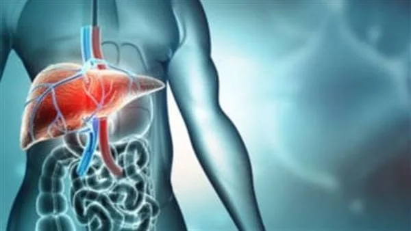 5 أطعمة غنية بالمغنيسيوم تُعزز الطاقة وتحمي من الكبد الدهني.. تعرف عليها