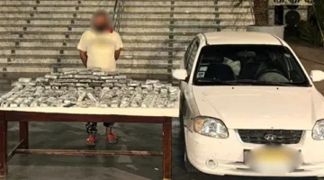 150 كيلو حشيش.. القبض على المتهم بالإتجار في المواد المخدرة بالإسماعيلية