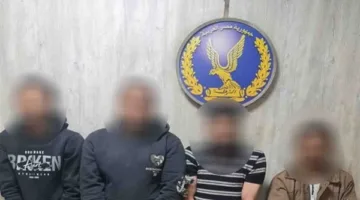 بسبب إلقاء حجر.. الداخلية تكشف حقيقة سرقة شخصين لآخر بالإكراه أعلى الدائري| فيديو