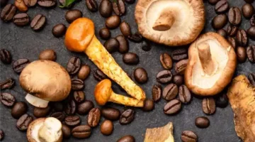 قهوة الفطر.. مشروب غير تقليدي يجذب الأنظار بفوائده الصحية المذهلة
