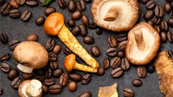 قهوة الفطر.. مشروب غير تقليدي يجذب الأنظار بفوائده الصحية المذهلة