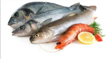 أبرزها الأسماك.. تعرف على أهم الأطعمة التي تحسن الصحة النفسية للأطفال