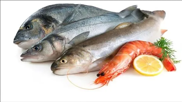 أبرزها الأسماك.. تعرف على أهم الأطعمة التي تحسن الصحة النفسية للأطفال