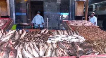 أسعار الأسماك اليوم الخميس 8 مايو 2025 في سوق العبور لتجارة الجملة