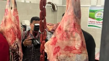 أسعار اللحوم اليوم في الأسواق المحلية