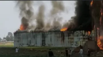 أعمال لحام بدون احتياطات أمان.. كشف سبب الحريق الهائل في مخزن قطع غيار سيارات بالدقهلية