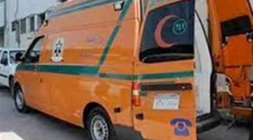 إصابه شابين في تصادم دراجة نارية تروسكل مع سيارة نقل ثقيل بالفيوم