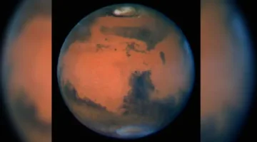 إيلون ماسك يحذر| الشمس ستُفني الحياة على الأرض.. والمريخ هو الأمل الوحيد للبشرية