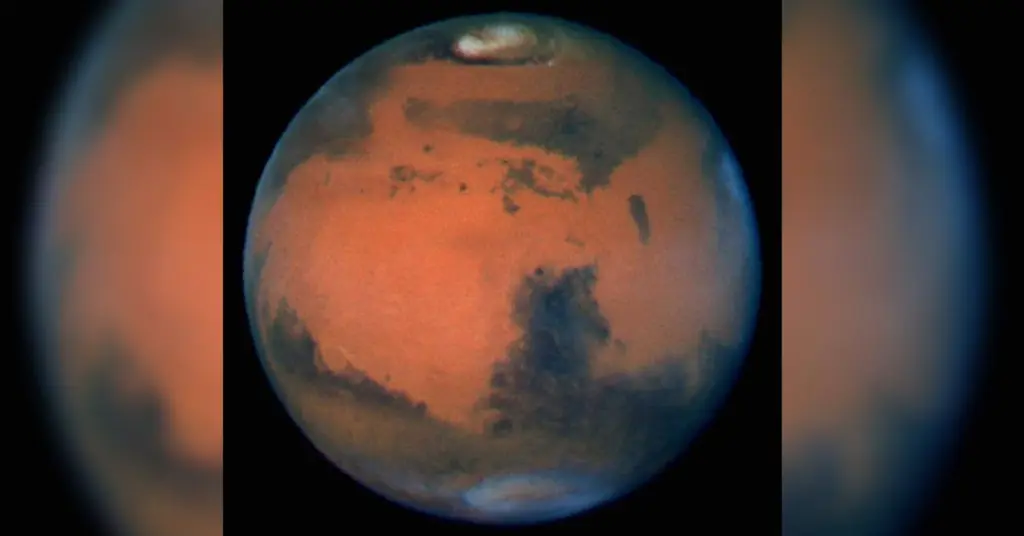 إيلون ماسك يحذر| الشمس ستُفني الحياة على الأرض.. والمريخ هو الأمل الوحيد للبشرية