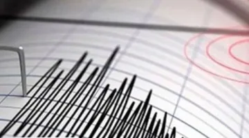 ارتفاع عدد إصابات زلزال إيران إلى 29 شخصًا