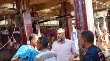 استعدادًا للعيد.. محافظ أسوان يكلف مسؤولي الطب البيطري بتجهيز 13 مجزرا لاستقبال الأضاحي