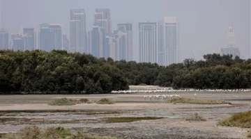 الإمارات اليوم.. رياح شديدة مغبرة وانخفاض ملحوظ في درجات الحرارة