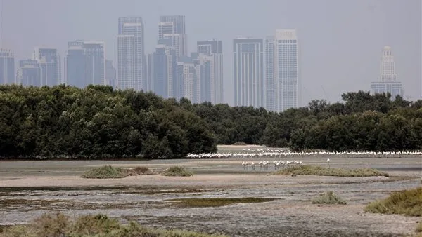 الإمارات اليوم.. رياح شديدة مغبرة وانخفاض ملحوظ في درجات الحرارة