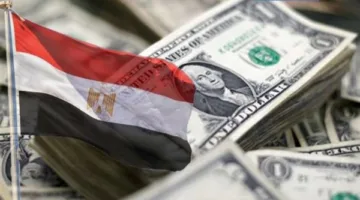 البنك المركزي: 2.9 مليار دولار استثمارات أجنبية واردة لتأسيس شركات جديدة خلال 6 أشهر