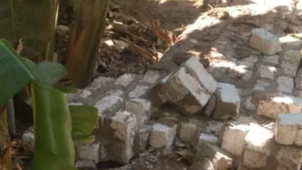 التصريح بدفن جثتي صغيرتين سقط عليهما سور جنينة خلال لهوهما بقنا التصريح بدفن جثتي صغيرتين سقط عليهما سور جنينة خلال لهوهما بقنا