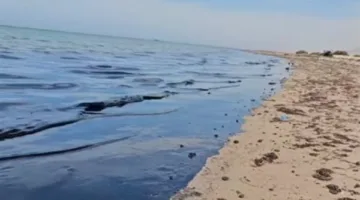 الجهات المعنية تفحص مقطع فيديو يظهر بقعة زيتية على شاطئ رأس سدر