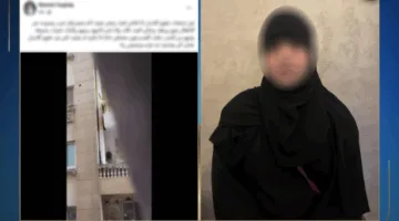 الداخلية تكشف تفاصيل مقطع فيديو يتضمن ادعاء تعدي سيدة على أحفادها بالقاهرة