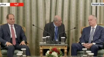 الرئيس السيسي: مصر حريصة على ألا يتم تهجير أهالي قطاع غزة بشكل قسري