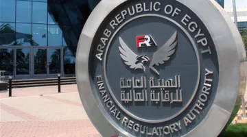 الرقابة المالية تبحث مع وزارة التنمية المحلية آليات التعاون والاستفادة من الخدمات المالية غير المصرفية