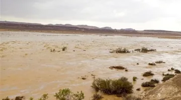 الري: الأمطار أدت لسيول ضعيفة في عدة مناطق بسيناء دون خسائر