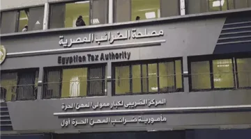 الضرائب: عفو ضريبي كامل لكل من يسجل قبل 12 أغسطس.. ونقطة ومن أول السطر