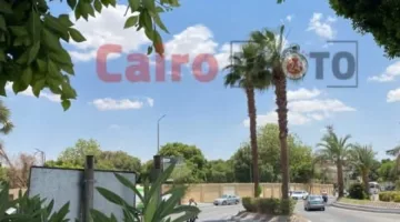 الغيوم والرياح توقفان رحلات البالون الطائر في الأقصر