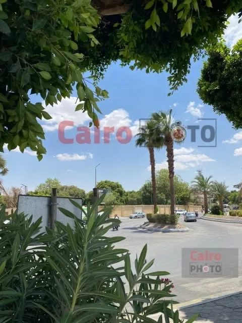 الغيوم والرياح توقفان رحلات البالون الطائر في الأقصر