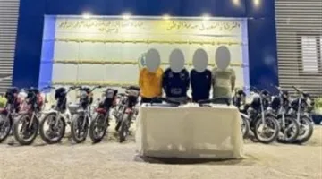 القبض على 9 عناصر إجرامية في الوادي الجديد والدقهلية