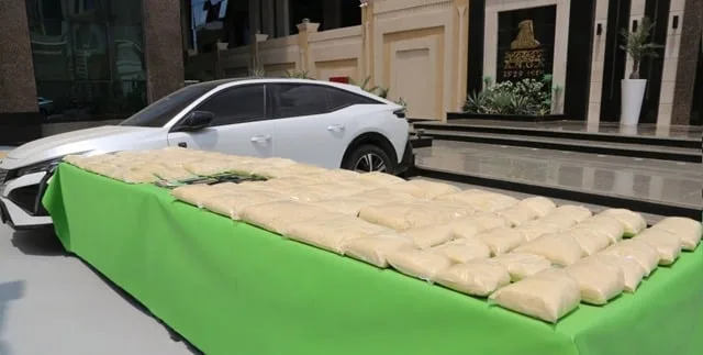 القبض على عناصر تشكيل عصابي جديد بحوزتهم حشيش صناعي بـ208 ملايين جنيه