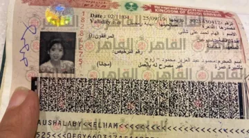 القصة الكاملة لزواج وطلاق محمود عبد العزيز وبوسي شلبي