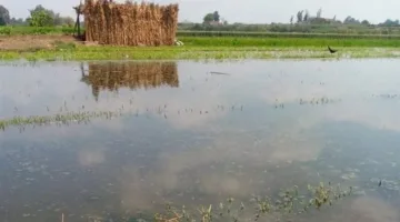 المنوفية تحذر واضعي اليد المخالفين بالزراعة والبناء على أراضي طرح النهر بسبب الفيضان