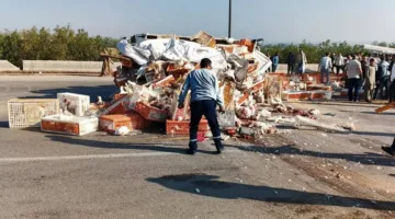 انقلاب سيارة محملة بالدواجن على الطريق الإقليمي قرب أشمون.. ونفوق عدد كبير من الفراخ