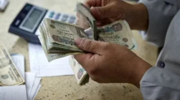 بدء صرف معاشات مايو 2025.. وبنك ناصر يفتح فروعه للعملاء