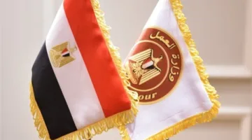 برواتب مجزية.. وزارة العمل تعلن توافر 4424 وظيفة جديدة في شركات خاصة