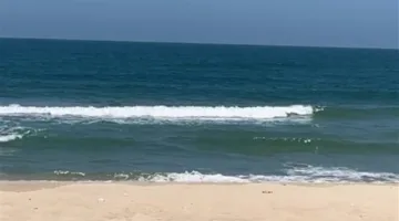 بعد انتهاء العاصفة الترابية.. إعادة فتح ميناء العريش البحري بسبب تحسن الأحوال الجوية | بث مباشر