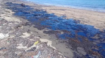 بعد ظهور بقعة زيتية.. وزيرة البيئة: بدء أعمال تطهير شاطئ أبو رديس وسحب عينات لتحديد السبب