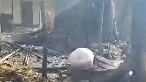 بعد نفوق 12 رأس ماشية.. السيطرة على حريق حظيرة مواشي في طوخ