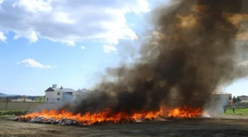 بلدة تركية تصاب بالهلوسة بسبب حرق الشرطة لأطنان من الحشيش