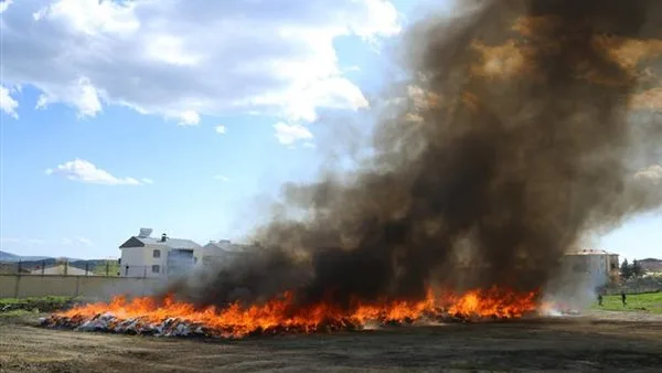 بلدة تركية تصاب بالهلوسة بسبب حرق الشرطة لأطنان من الحشيش
