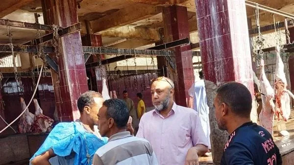 بمناسبة اقتراب عيد الأضحى.. تجهيز 13 مجزرًا لدبح الأضاحي بأسوان بمناسبة اقتراب عيد الأضحى.. تجهيز 13 مجزرًا لدبح الأضاحي بأسوان