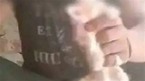 تجدد حبس المتهم بالتعدي على قطة بالأقصر 15 يومًا على ذمة التحقيقات