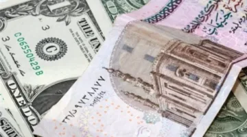 تراجع سعر الدولار في مصر قبل قرار الفيدرالي الأمريكي بشأن أسعار الفائدة