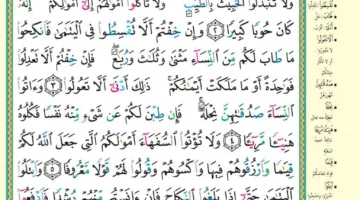 تفسير سورة النساء للشعراوي مكتوبة.. كيف يرى الإمام تعدد الزوجات؟