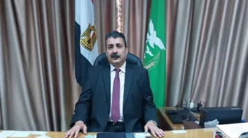 تموين المنوفية: تحرير 734 مخالفة تموينية خلال أسبوع