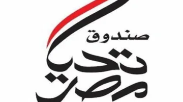 تنفيذا لتوجيهات الرئيس.. صندوق تحيا مصر يوفر أسواق حضارية مجمعة للباعة بالمقطم