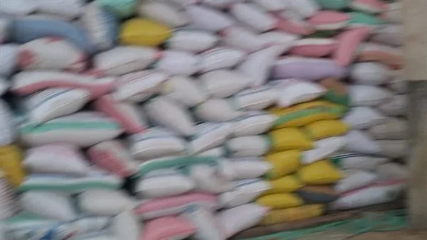 توريد 46 ألف طن قمح إلى شون وصوامع البحيرة منذ بداية الموسم حتى اليوم